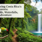 Costa Rica Rainforest