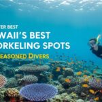 Hawaii Snorkeling Spots
