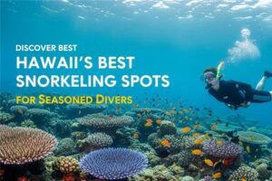 Hawaii Snorkeling Spots