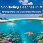 Snorkeling Beaches in Mexico