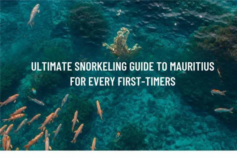Snorkeling Guide To Mauritius