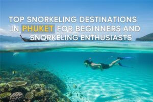 Snorkeling in Phuket