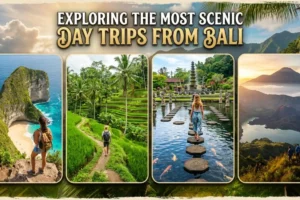 Day Trips from Bali